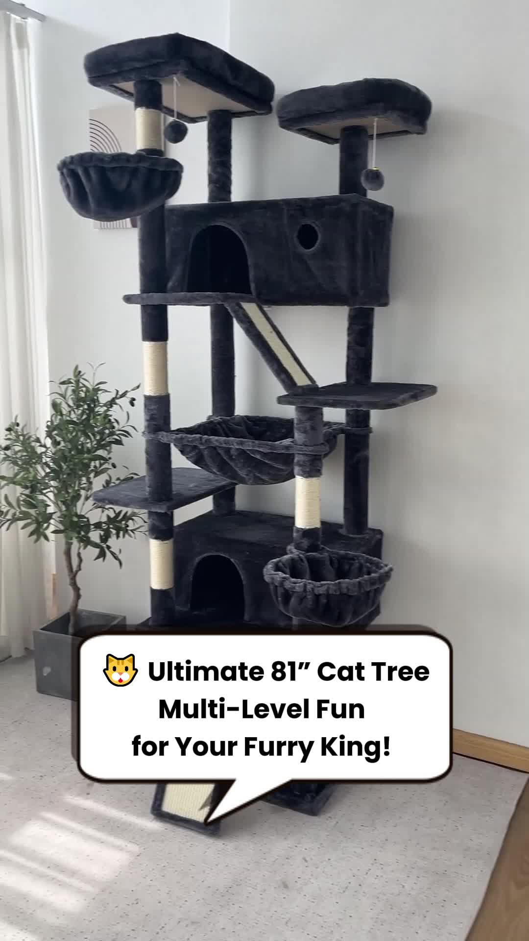 🔥cat climbing frame