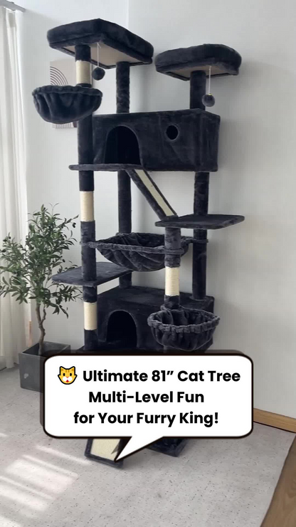 🔥cat climbing frame